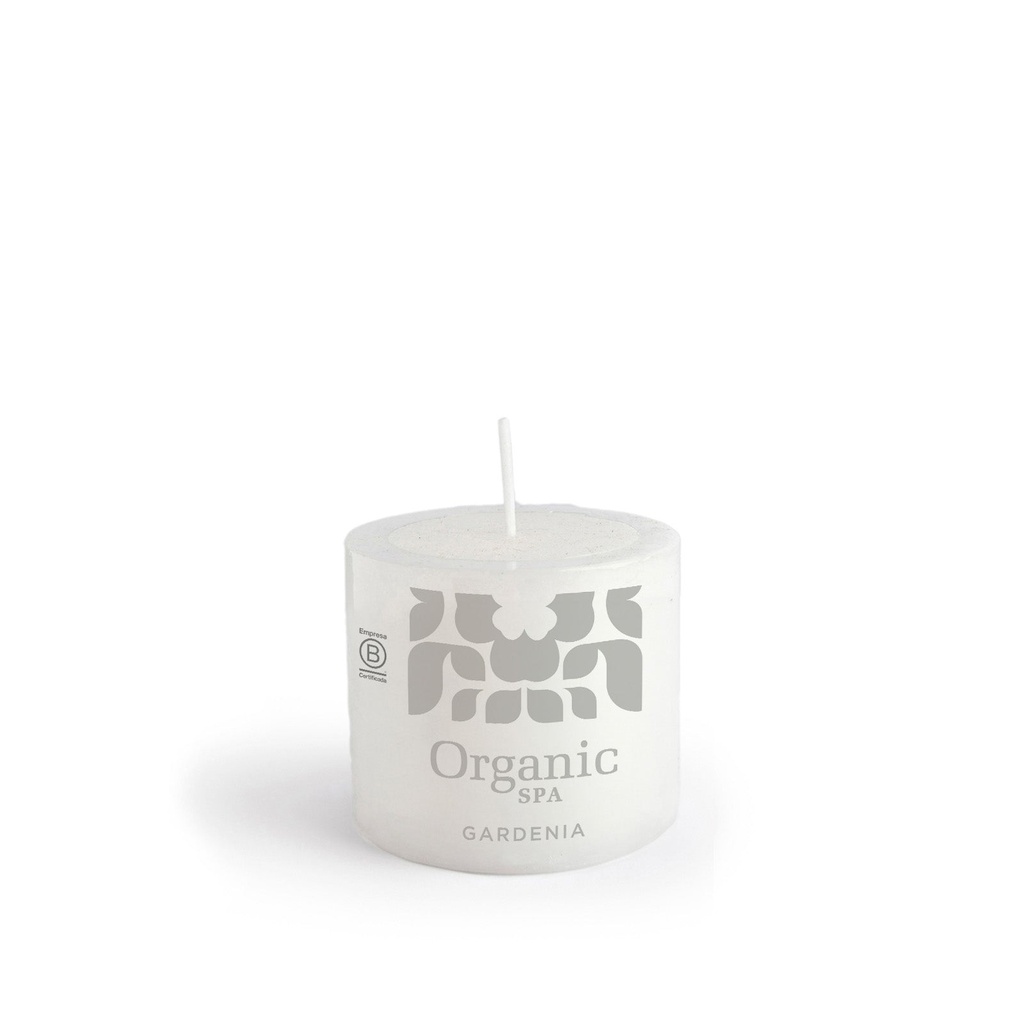 VELA 6 X 6 GARDENIA