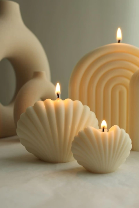 Vela Ostra de Mar