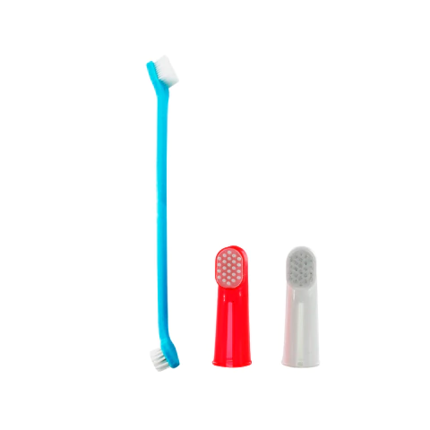 Set cepillo de dientes