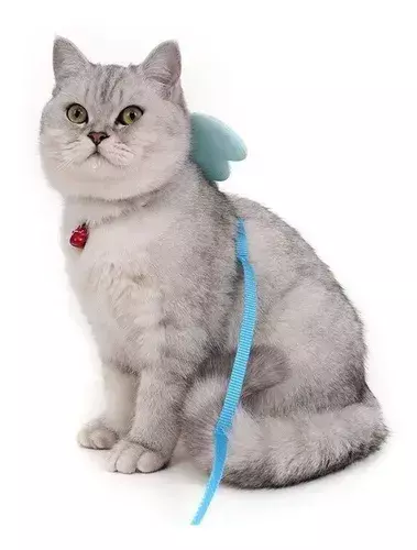 Pretal con alitas y correa para gatos