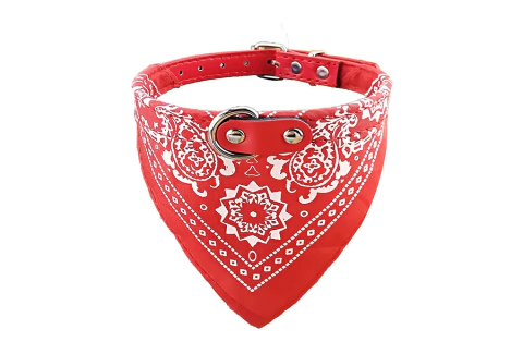 Collar con pañuelo