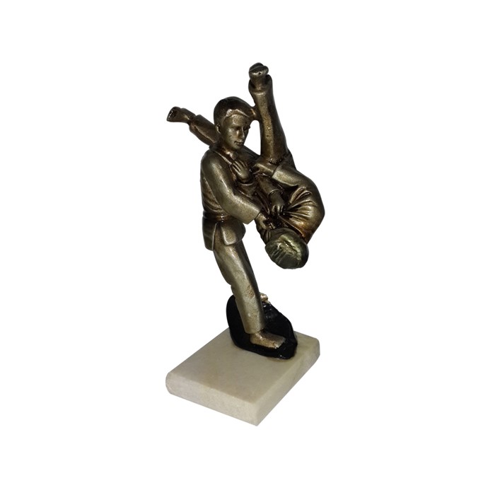 Resinas y Regalos ARTES MARCIALES