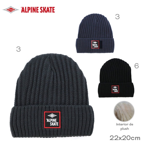 [LN-31294] GORRO ALPINE SKATE 16895