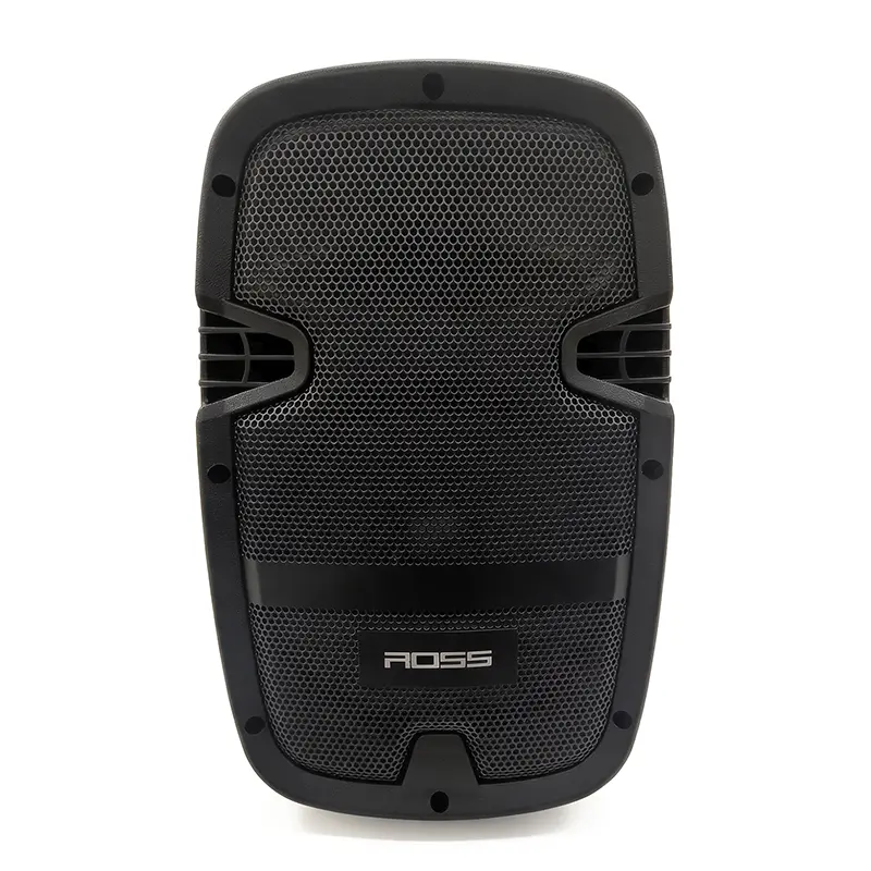 [ZT-02022000002D42D62] Parlante ROSS RP08AL-R