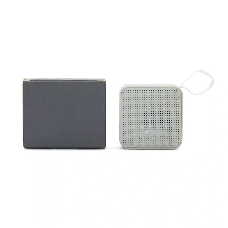 [ZT-21022000002D62D62D] Parlante Play