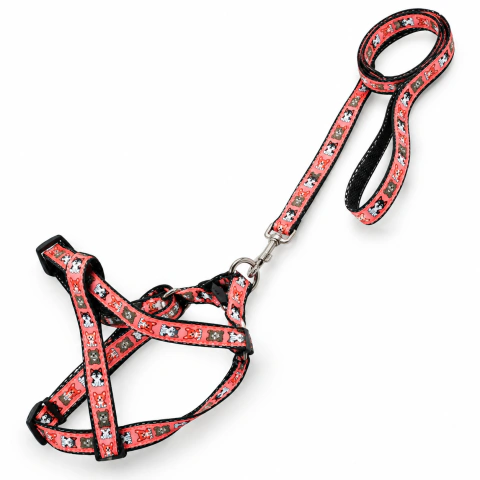 [HP-1385] Conjunto correa y pretal Fantasia Perritos