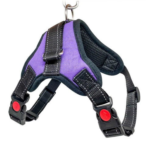 [HP-1371] Arnes con forma de hueso