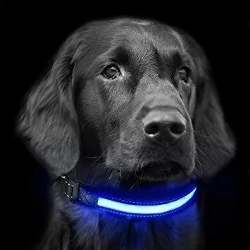 [HP-2358] Collar luminoso Led