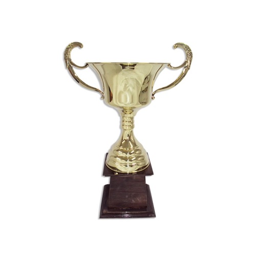 [MB-004] Copas COPAS DE BRONCE