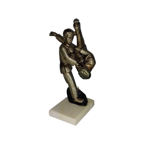 [MB-045] Resinas y Regalos ARTES MARCIALES